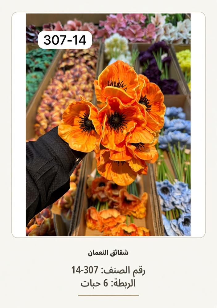 شقائق النعمان 6غصن  اورنج