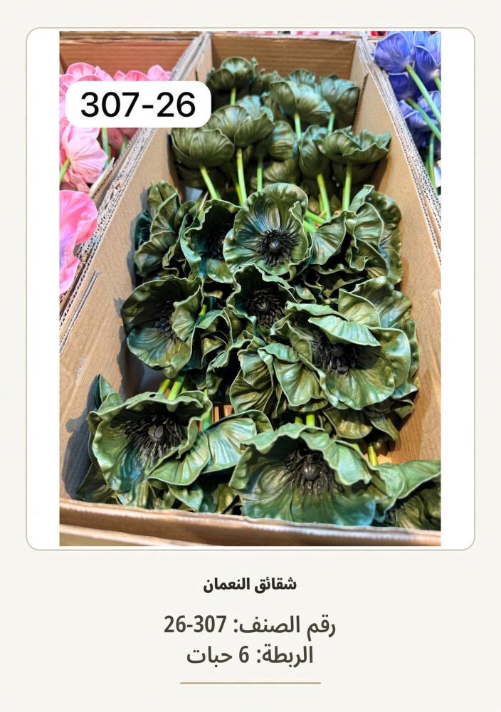 شقائق النعمان 6غصن اخضر غامق