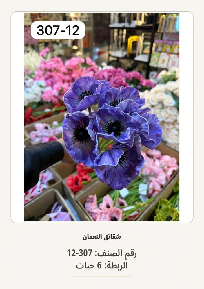 شقائق النعمان 6غصن  موف فاتح
