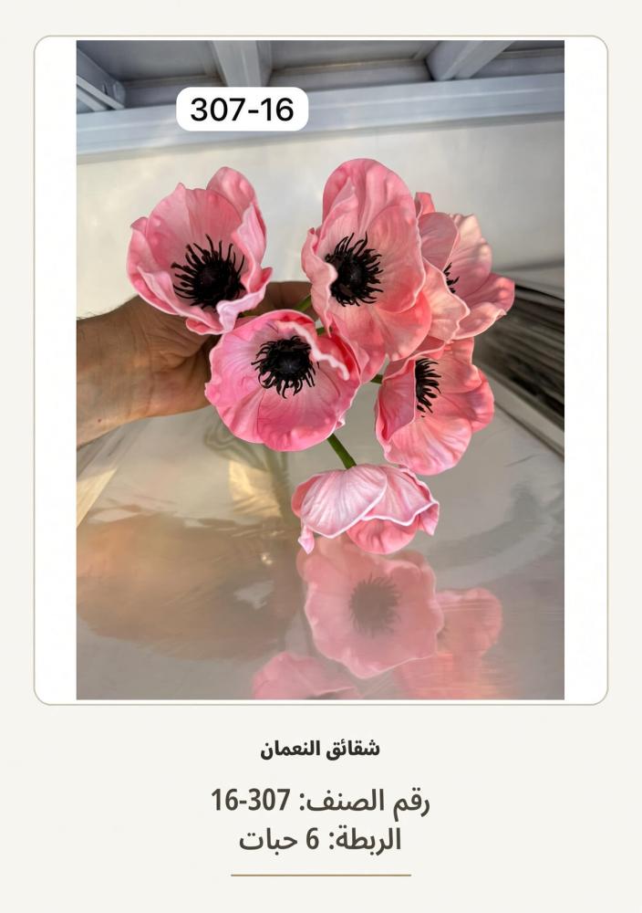 شقائق النعمان 6غصن  سكري