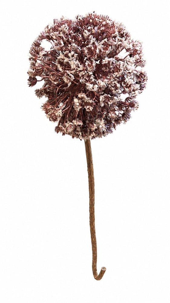 Artificial flowers Cressidia