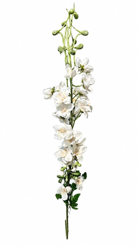 Delfinium flower