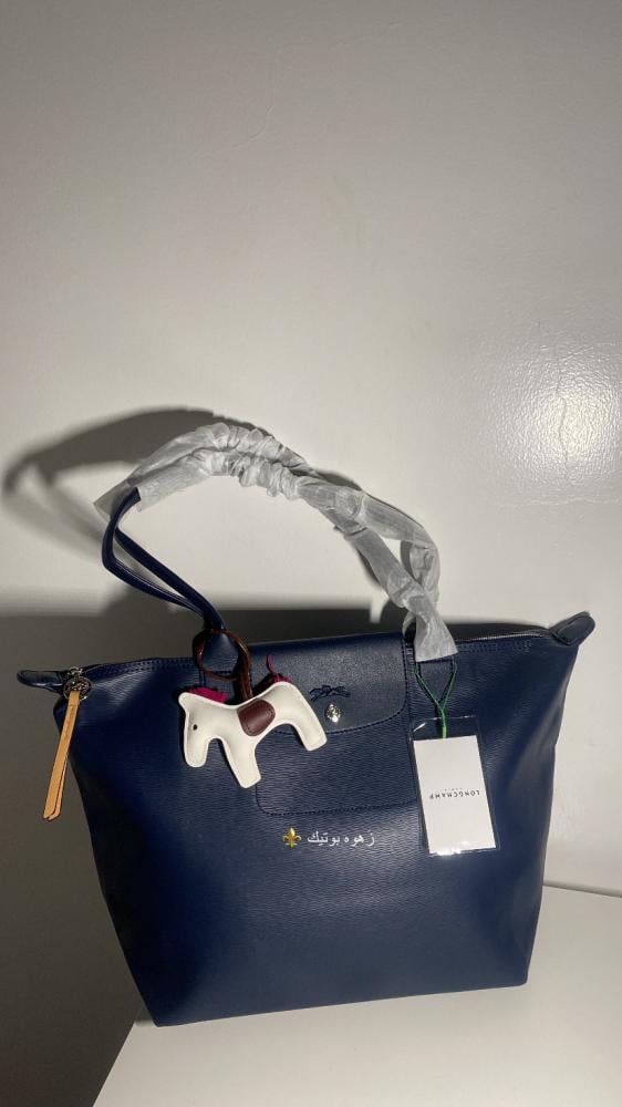 Longchamp leather blue L