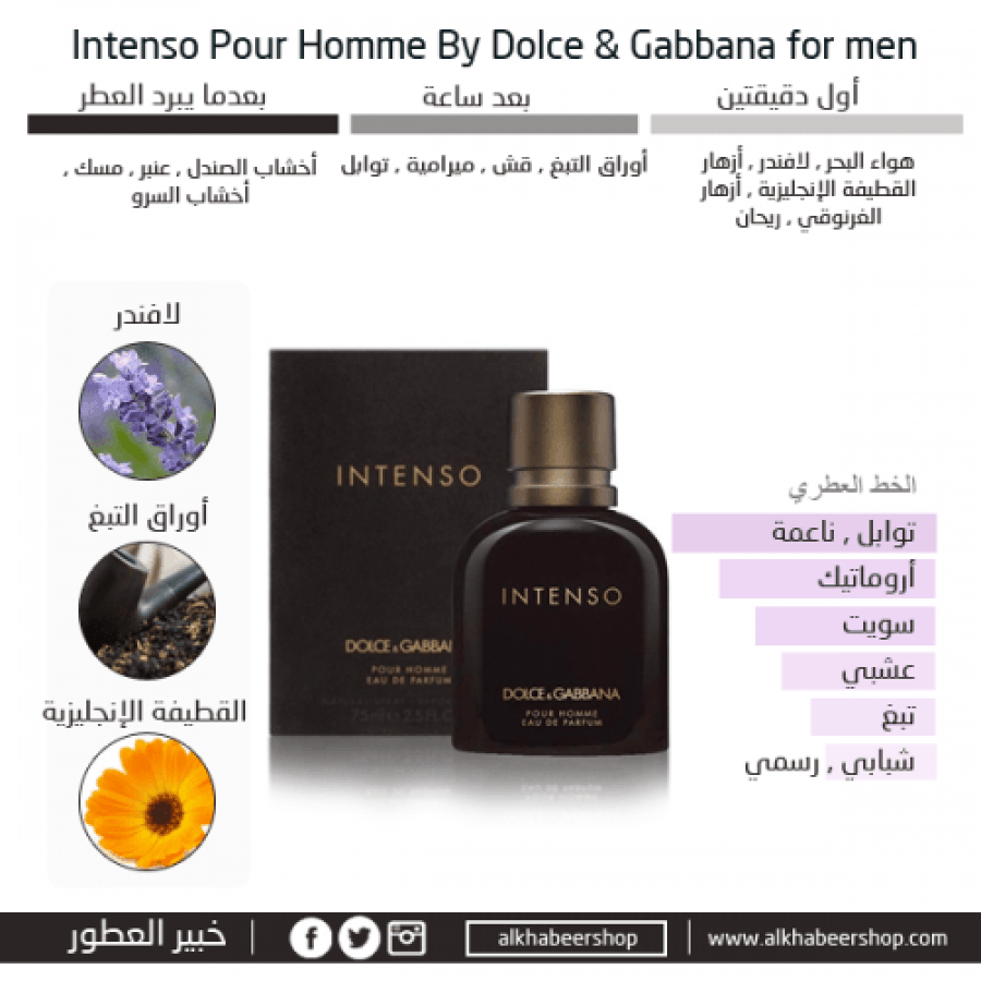 عطر دولتشي غابانا انتنسيو الرجالي او دو بارفيوم 125مل
