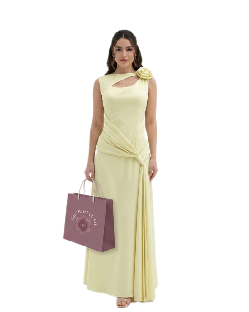 Dress 224