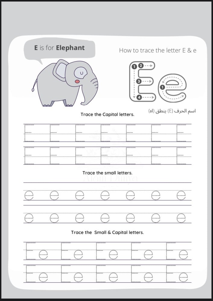 مذكرة تأسيس الإنجليزية للصفوف الأولية