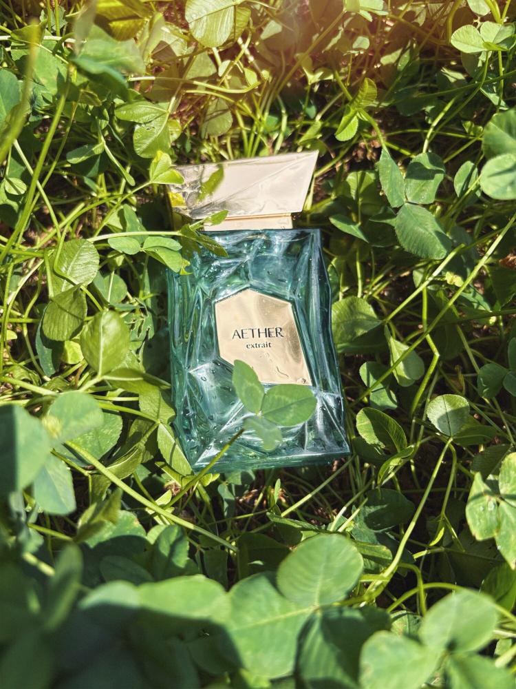 عطر فرنش افينيو أثير اكستريت 100 مل