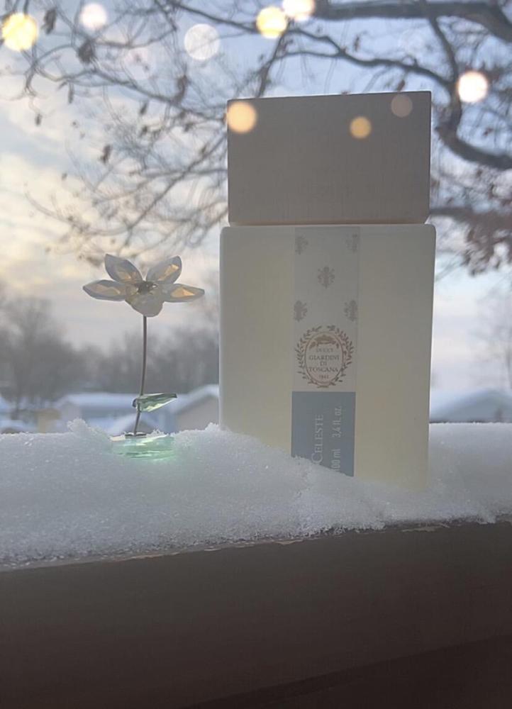 عطر جيارديني دي توسكانا سيليست أو دو بارفيوم 100 مل