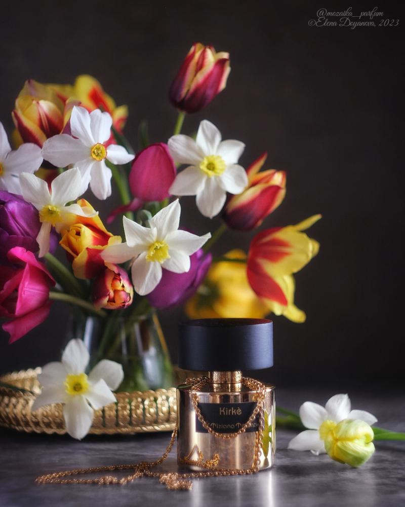 عطر تيزيانا تيرينزي كيركي اكسترايت دو بارفيوم 100 مل