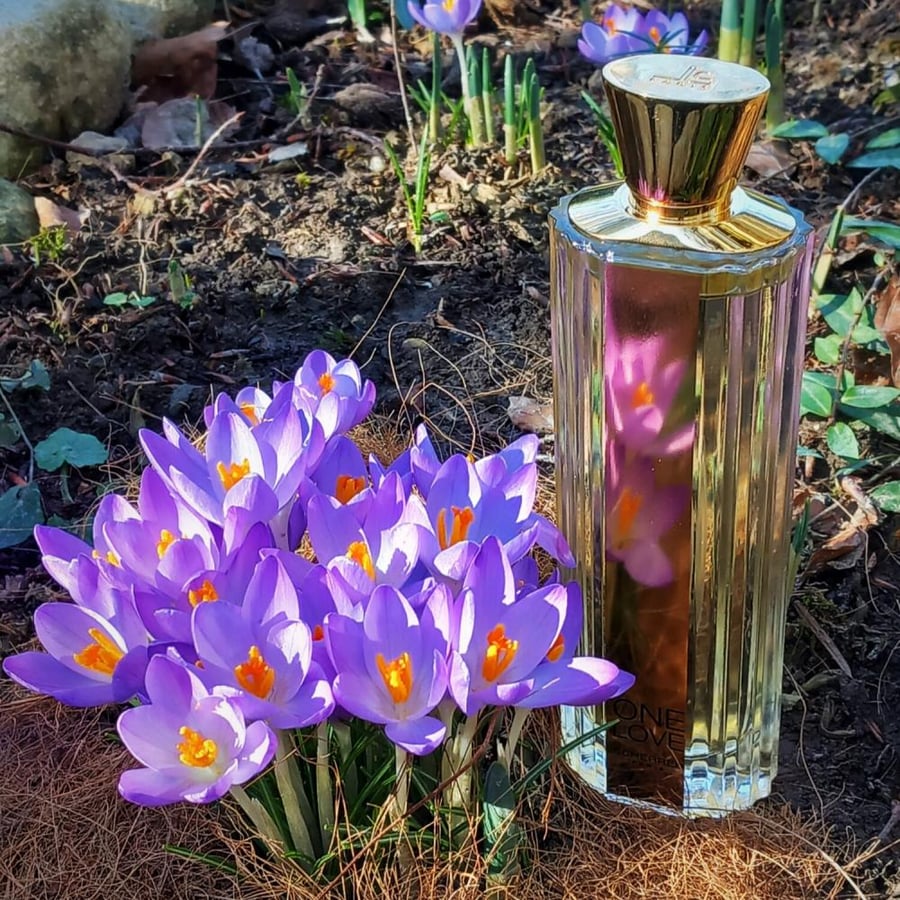 عطر جان لويس شيرير ون لوف أو دو بارفيوم 100 مل