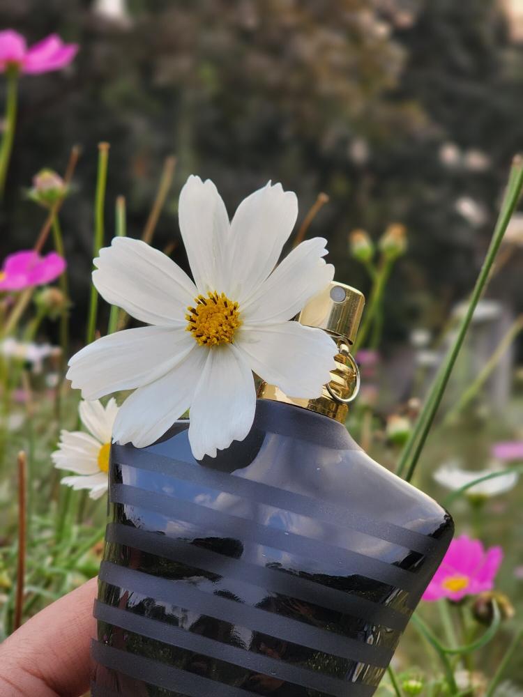 عطر جان بول غولتير لا مايل او دو بارفيوم للرجال 125 مل