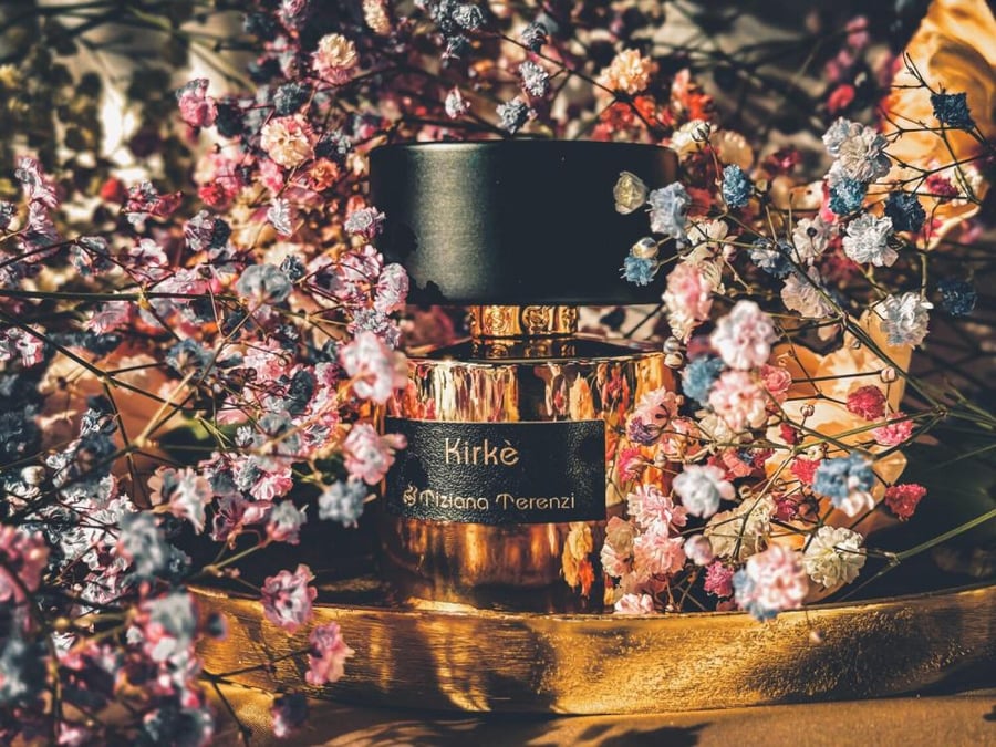 عطر تيزيانا تيرينزي كيركي اكسترايت دو بارفيوم 100 مل