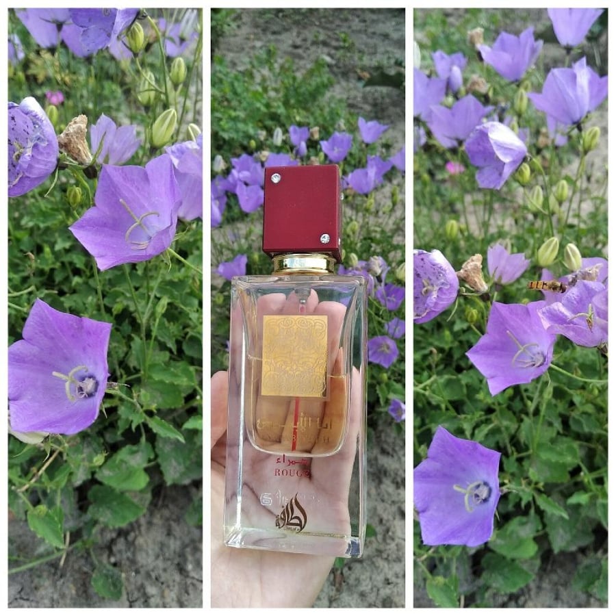 عطر لطافة انا الأبيض روج او دو بارفيوم 60 مل