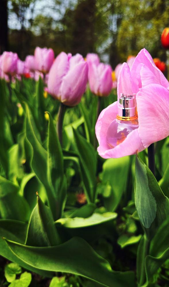 عطر لانفين إكليت دي أبريدج أو دو بارفيوم 100 مل للنساء