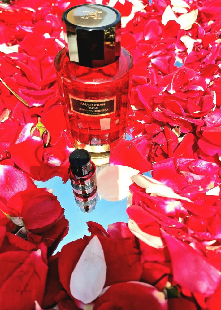 عطر كارولينا هيريرا بورنینج روز او دو بارفيوم 100 مل للجنسين