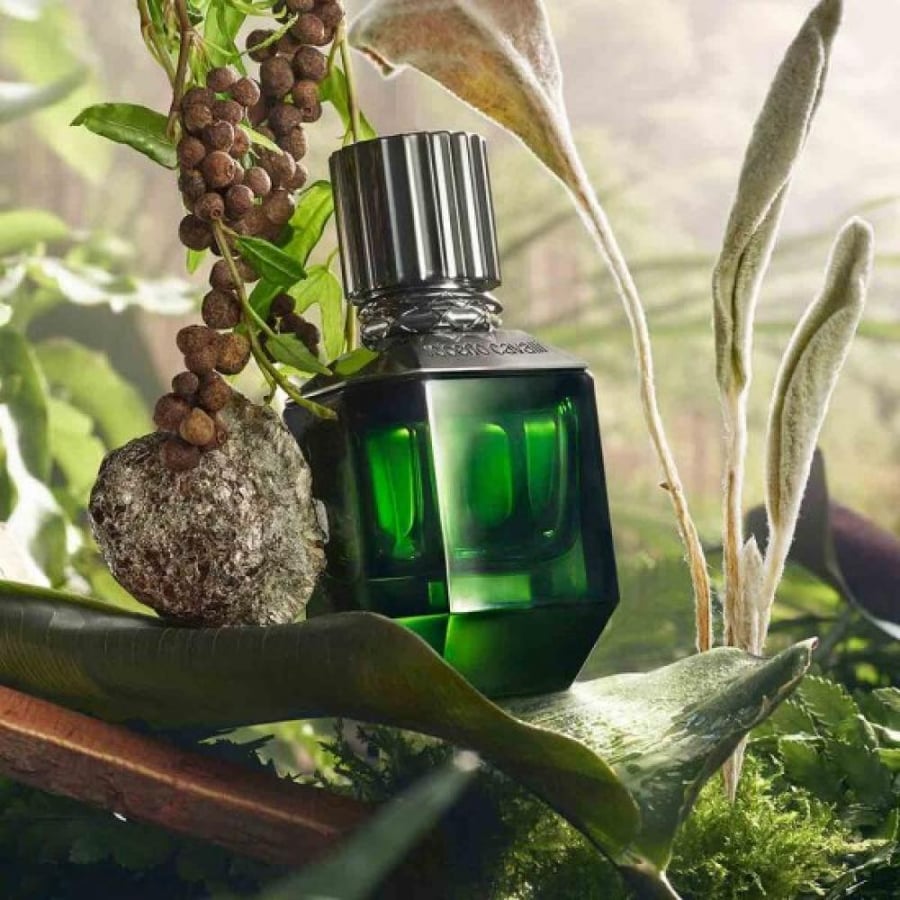 عطر روبرتو کافالي باراديس فوند أو دو تواليت  75 مل للرجال