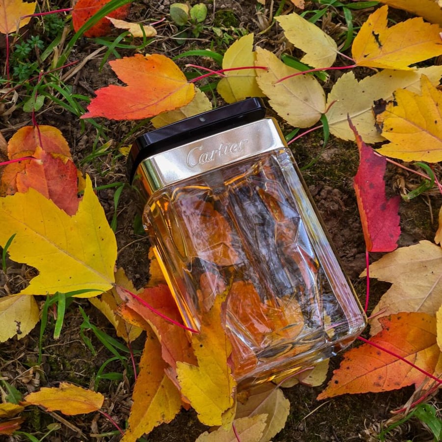 عطر كارتير لابانتير اديشن سوار او دو بارفيوم للنساء 75 مل