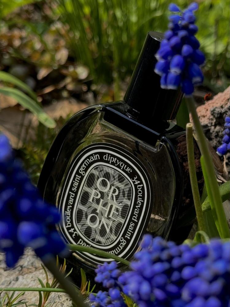 عطر ديبتيك أورفيون أو دو بارفيوم 75 مل