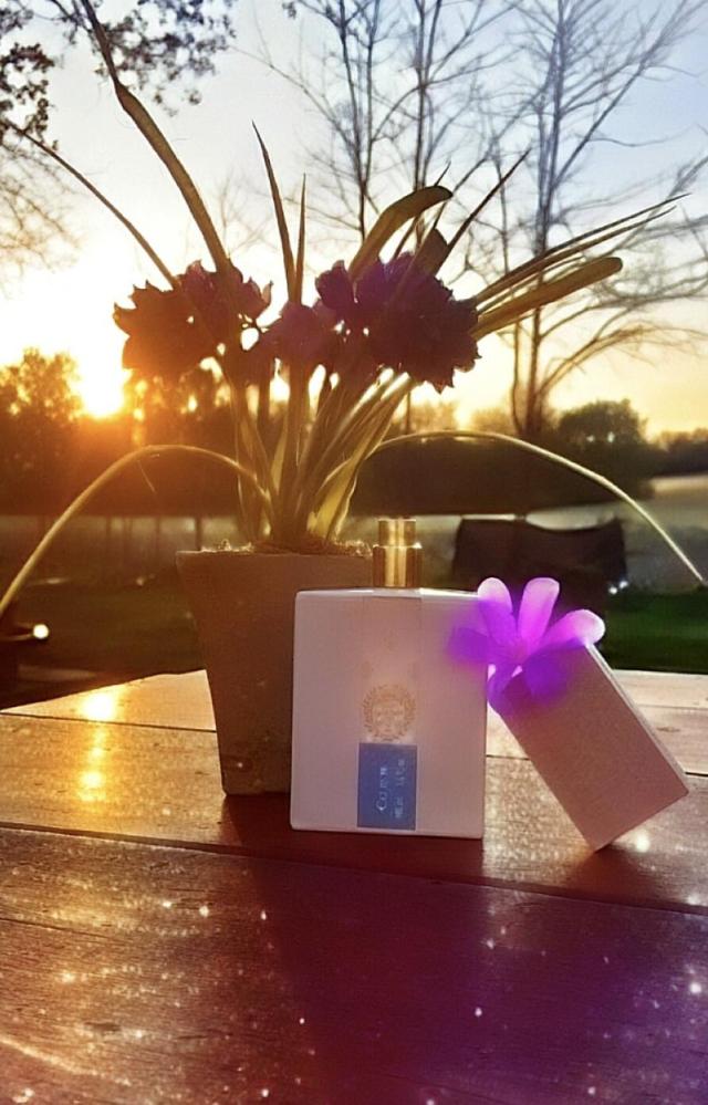 عطر جيارديني دي توسكانا سيليست أو دو بارفيوم 100 مل
