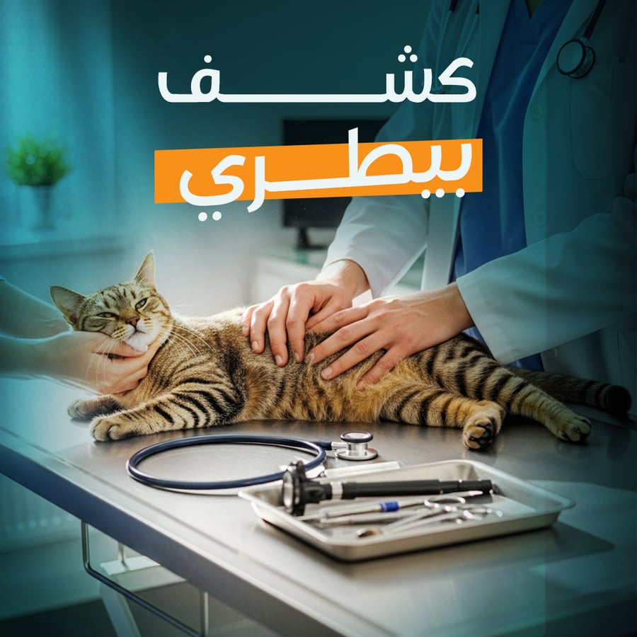 Veterinary Examination