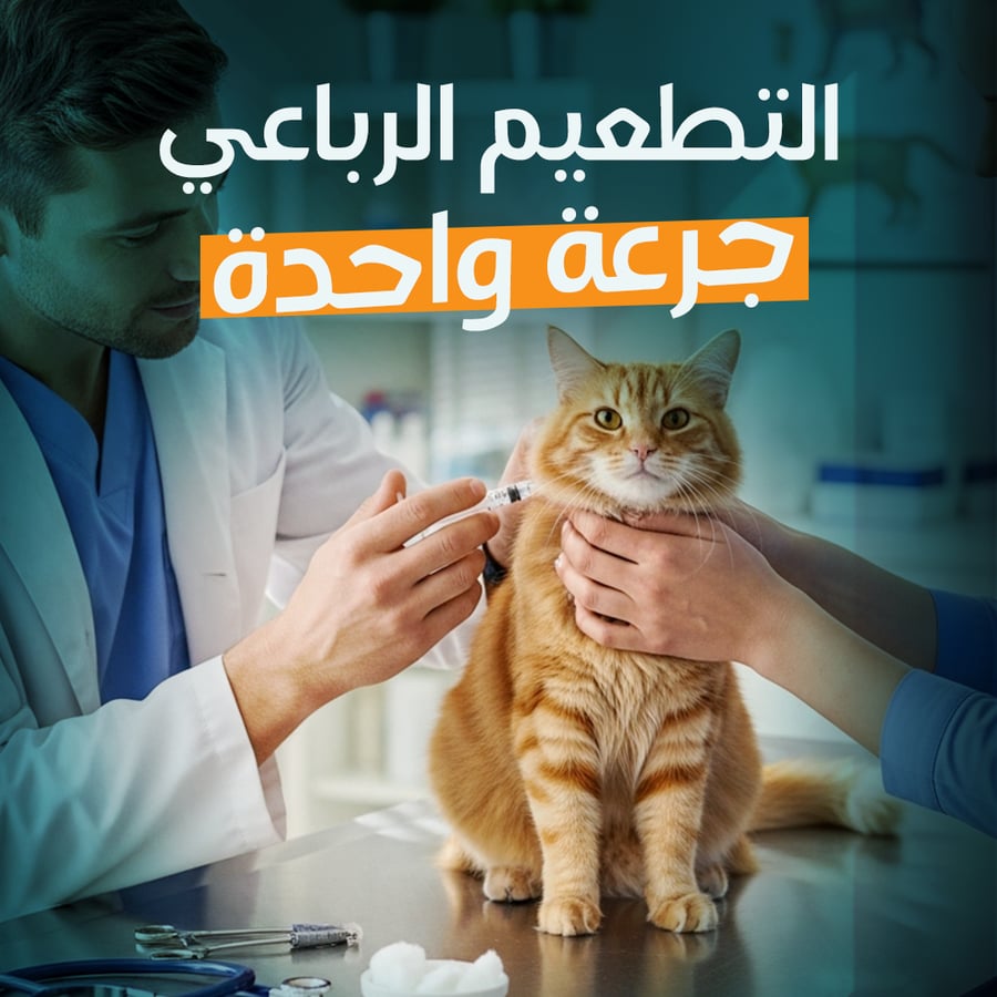 Quadrivalent Vaccine