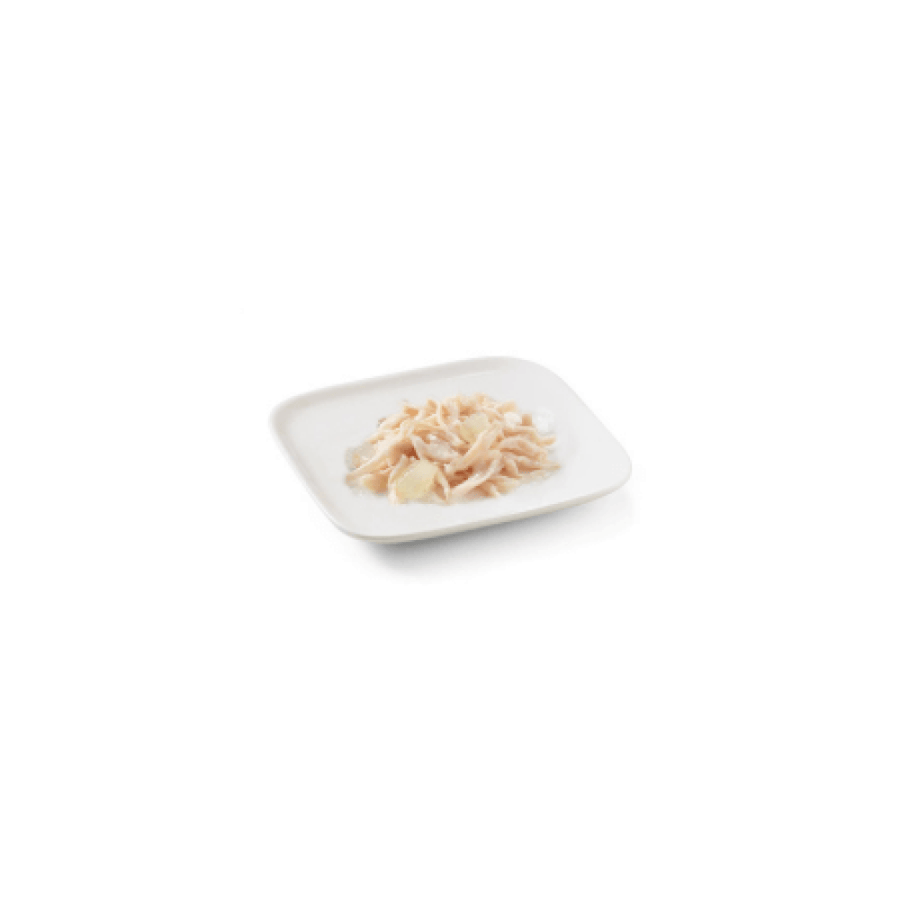 Chizer complementary food chicken fillet with cactus in jelly for adult dogs 150 grams