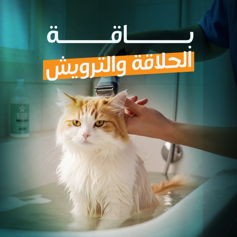 Haircut & Grooming Package