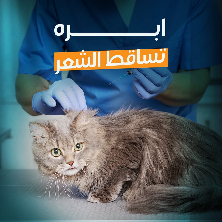 إبرة تساقط شعر