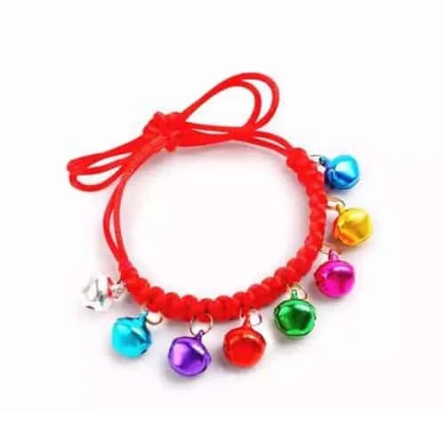 A collar for cats with several bells