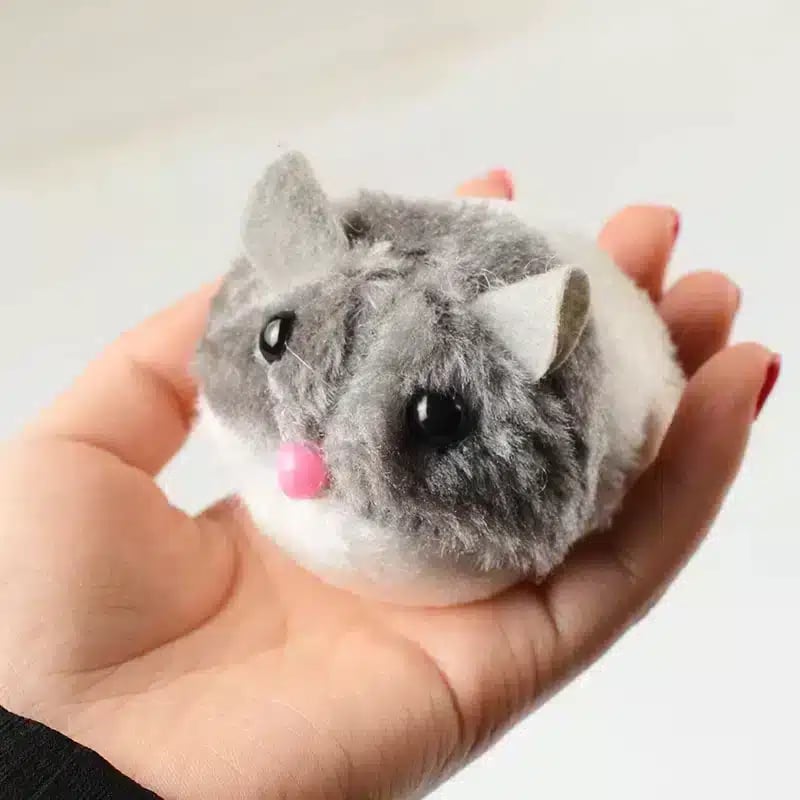 A game for cats, moving mouse