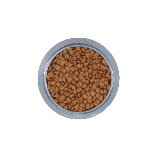 Royal Canin dry food for small cats kitten 10 kg