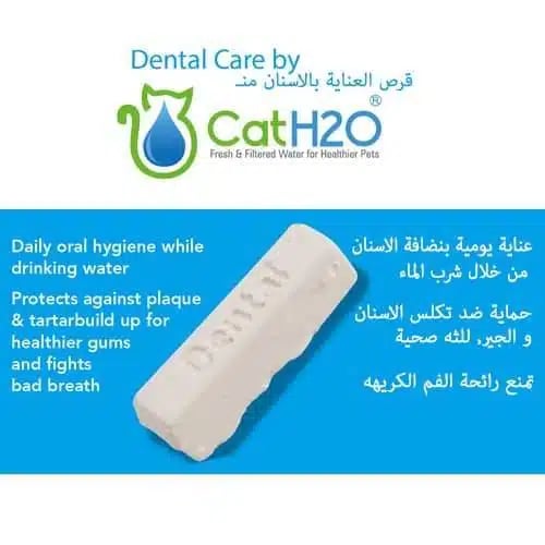Electronic water drinking fountain for cats with filter and teeth care feature 2 liters