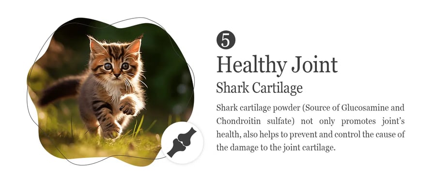 Natural Kitty dry food for cats fish with salmon 1.8 kg