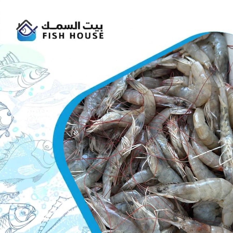 بوكس روبيان بحري - أسمر