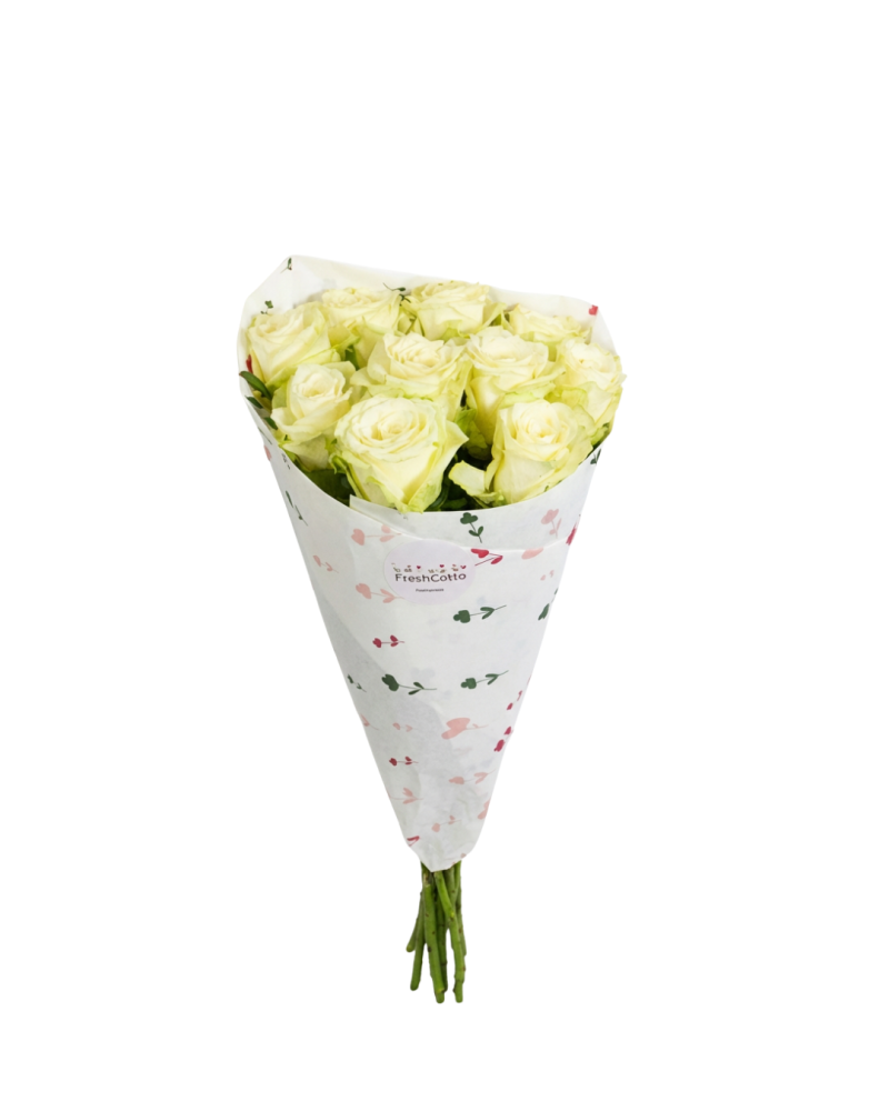 بكج جوري - ROSE ابيض