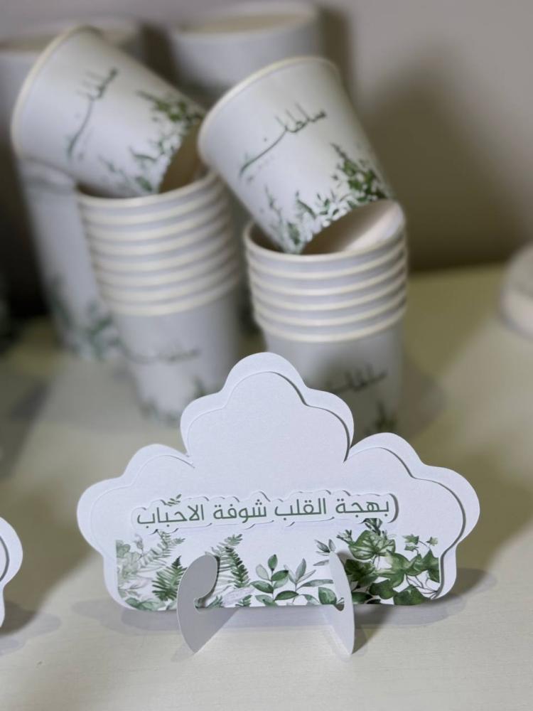 بكج سلطان