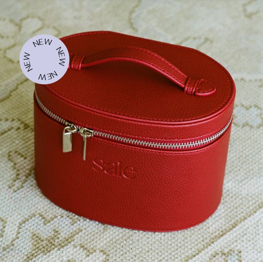 THE MINI VANITY CASE