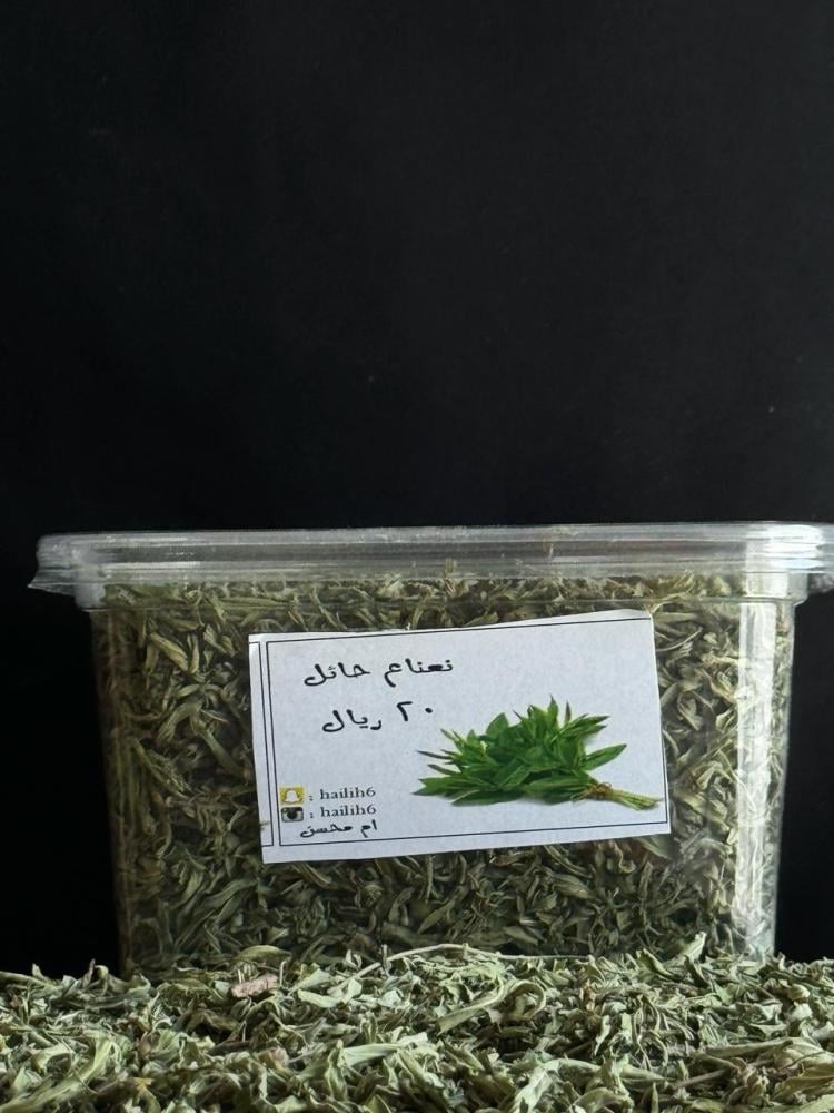نعناع حائل (حبق)