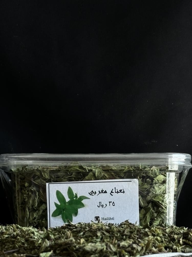 نعناع مغربي