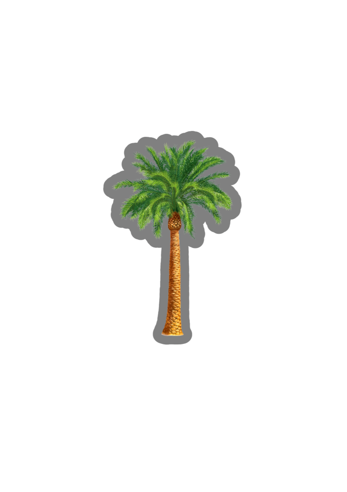 Palm tree theme ready for printing