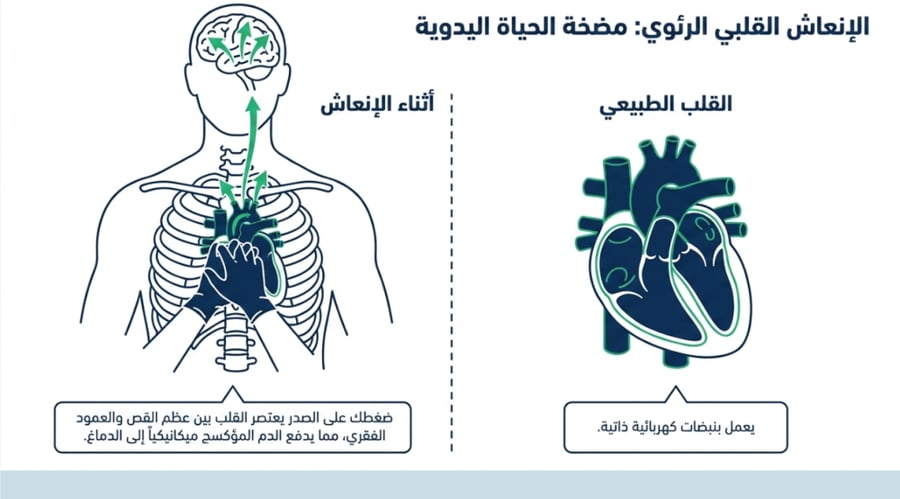 ورشة الإنعاش القلبي الرئوي