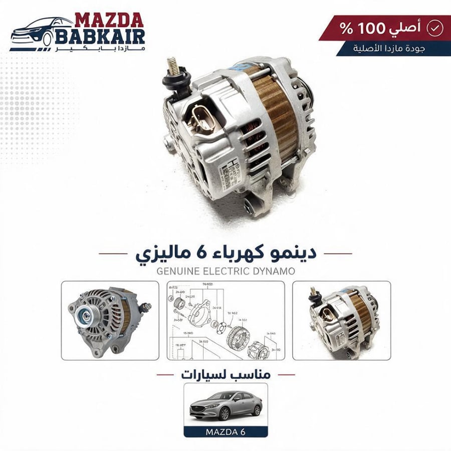 دينمو كهرباء 6 ماليزي