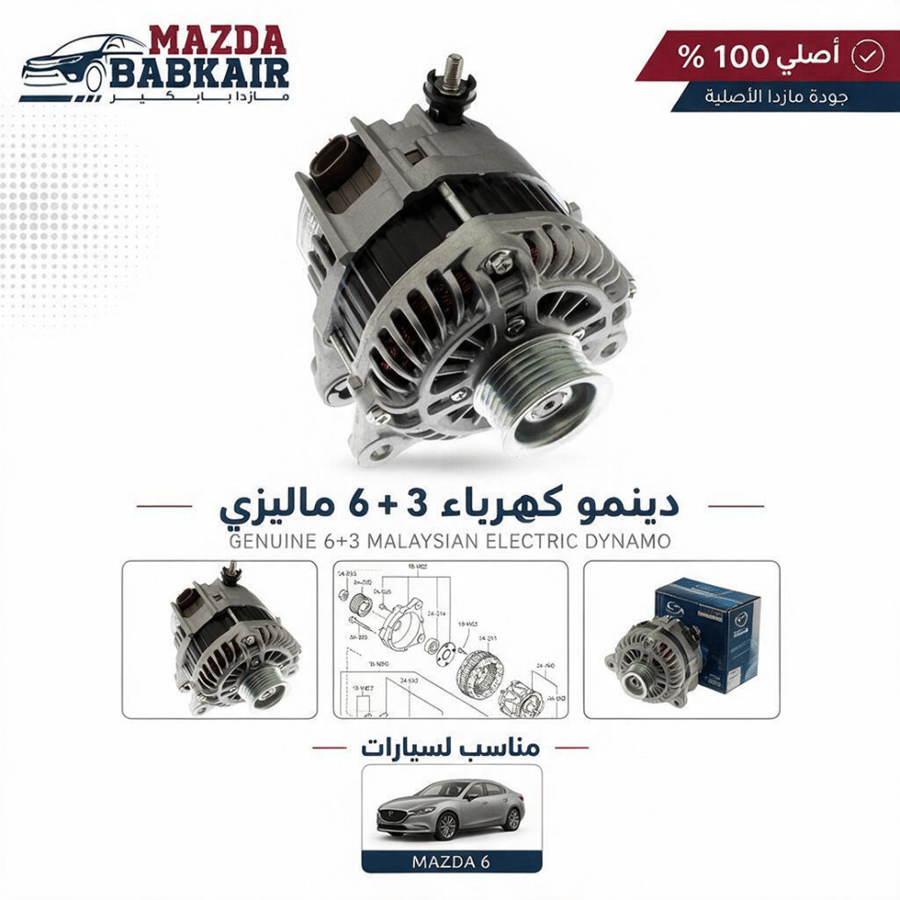دينمو كهرباء 6+3 ماليزي
