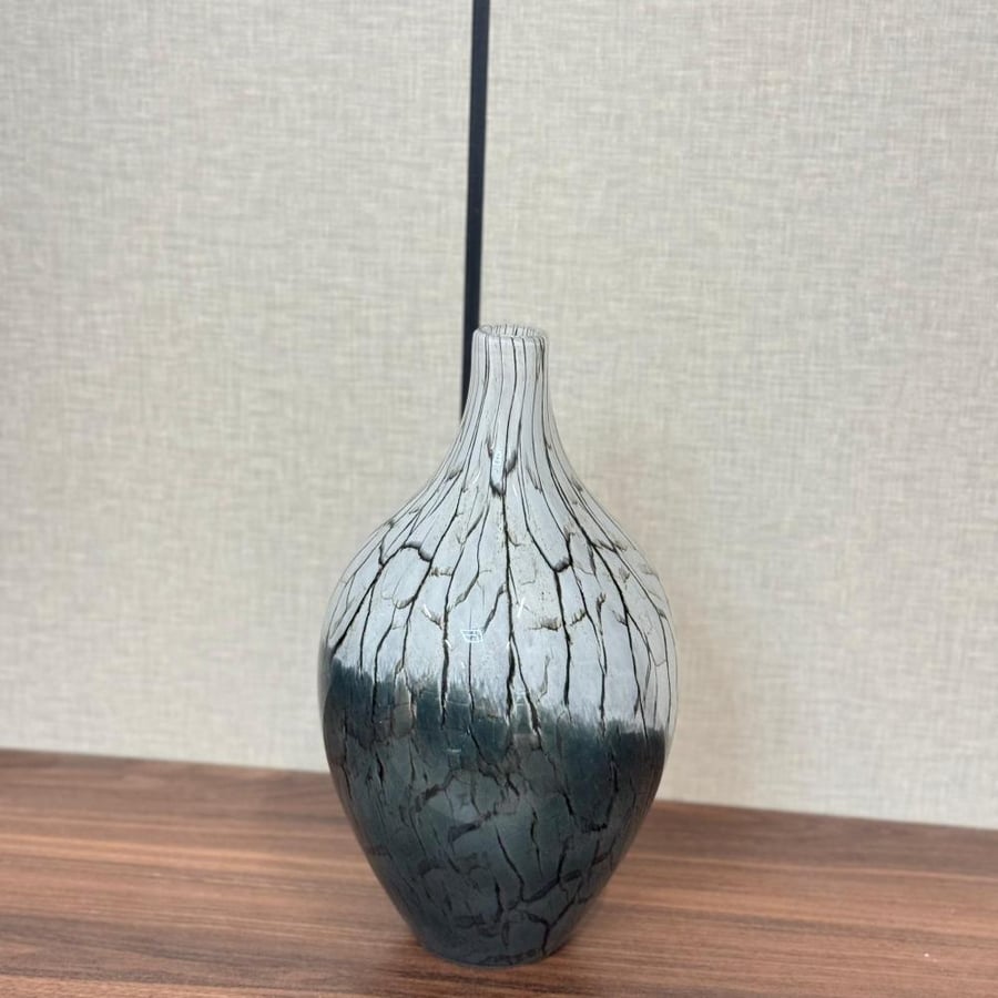 فازة زجاج أنيقة وجذاب24×4×4سم