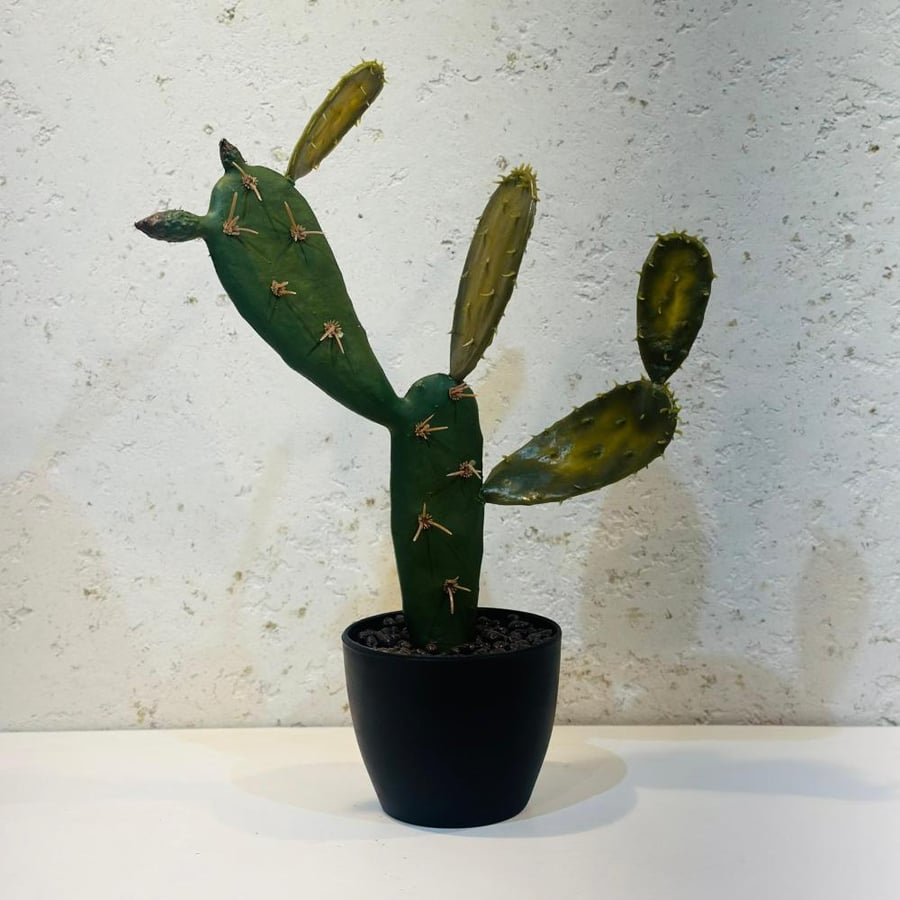 نبات صباري ديكوري أنيق من نوع التين الشوكي (Opuntia) موضوع في أصيص أسود أنيق38سم