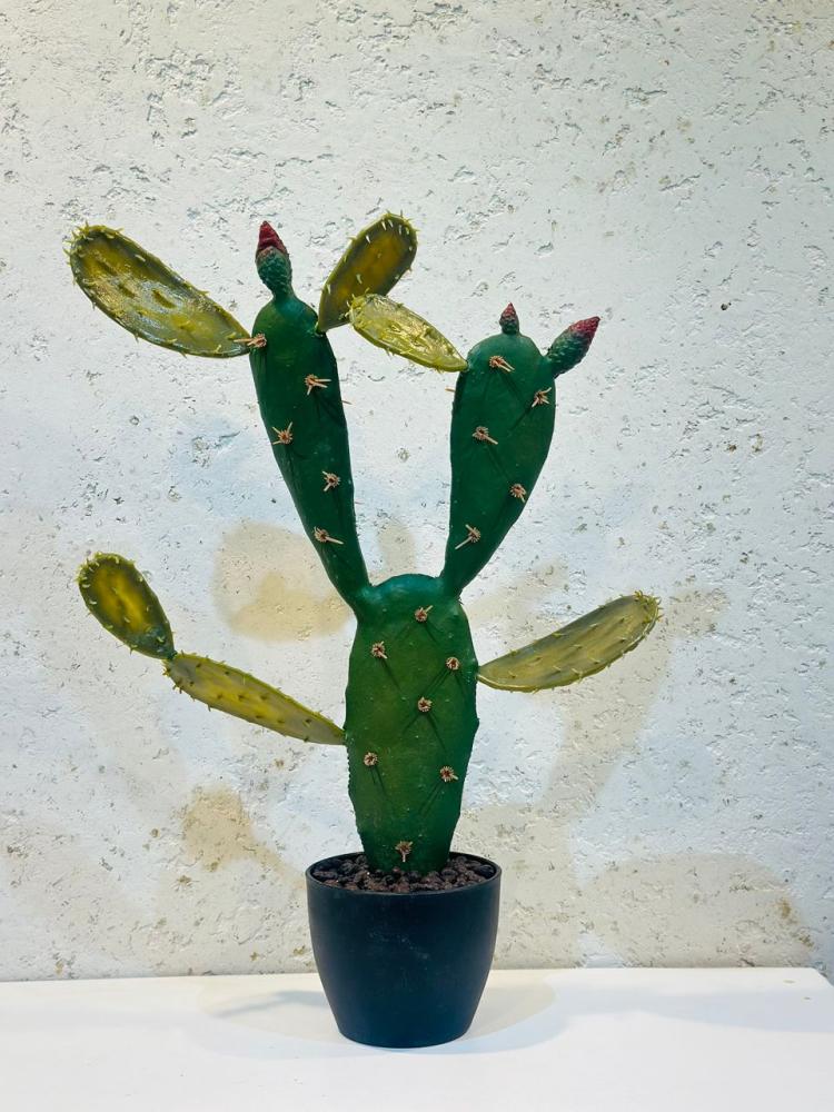 نبات صباري ديكوري أنيق من نوع التين الشوكي (Opuntia) موضوع في أصيص أسود أنيق48سم