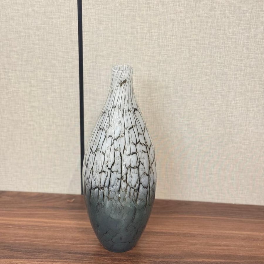 فازة زجاج أنيقة وجذاب24×4×4سم