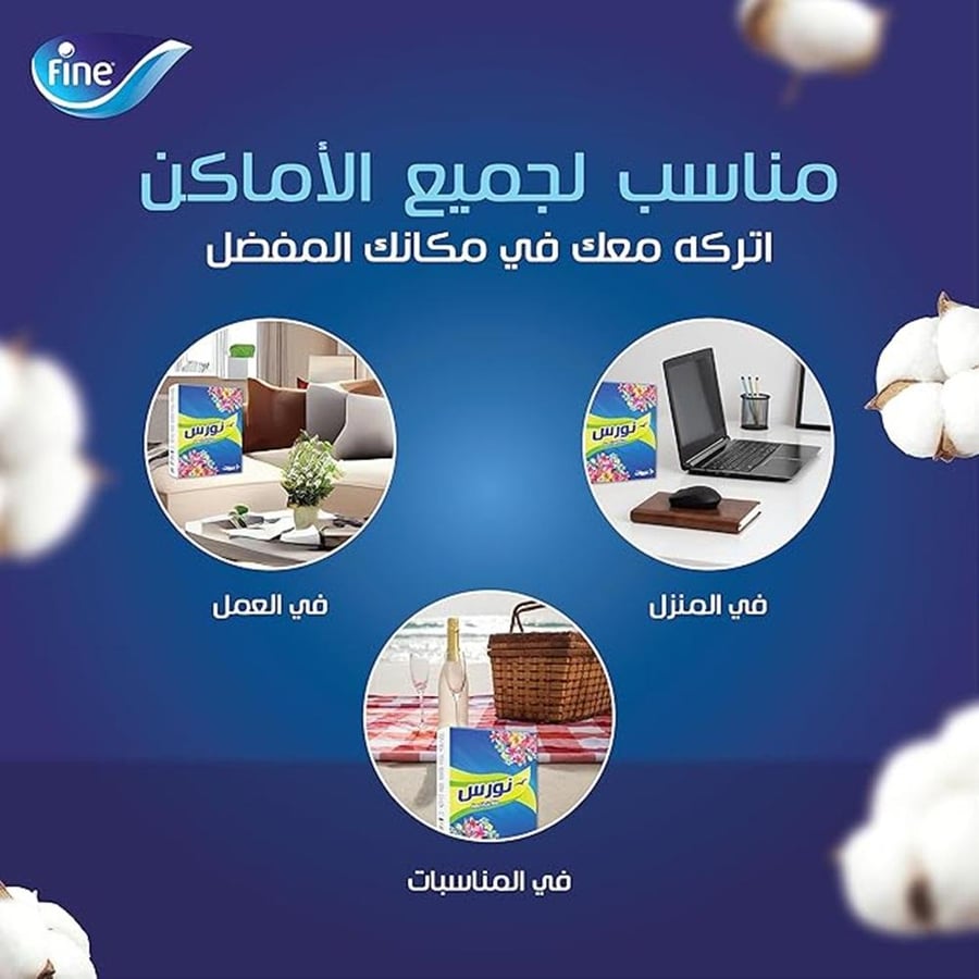 Face tissues from Fine Nors, two-ply, pack of 10 × 160 tissues