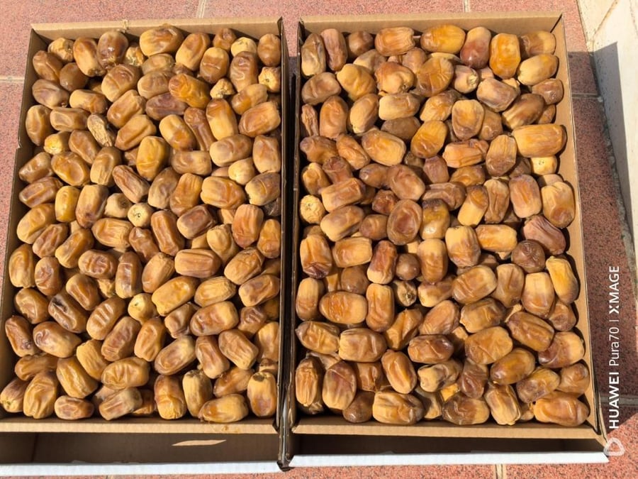 سباكة فاخرة 3 كجم
