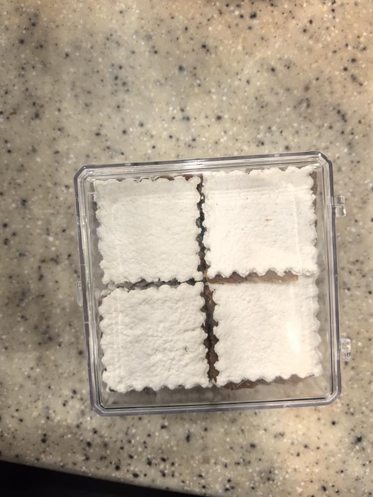 Sweet biscuit filled with date paste